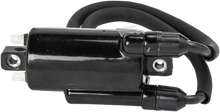 RICK'S MOTORSPORT ELECTRIC ignition Coil - Honda 23-108
