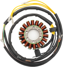 RICK'S MOTORSPORT ELECTRIC Stator 21-567