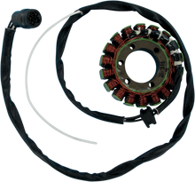 RICK'S MOTORSPORT ELECTRIC Stator - Kawasaki 21-216