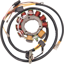RICK'S MOTORSPORT ELECTRIC Stator 21-551