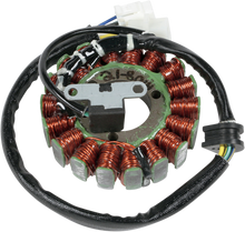 RICK'S MOTORSPORT ELECTRIC High-Output Stator - Suzuki 21-801H