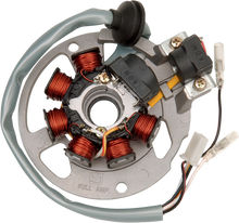 RICK'S MOTORSPORT ELECTRIC Stator 21-550