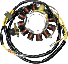 RICK'S MOTORSPORT ELECTRIC Stator 21-552