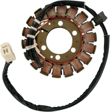 RICK'S MOTORSPORT ELECTRIC Stator - Suzuki 21-315