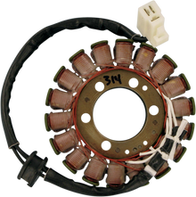 RICK'S MOTORSPORT ELECTRIC Stator - Suzuki 21-314