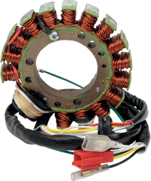 RICK'S MOTORSPORT ELECTRIC Stator - Honda 21-616H