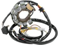 RICK'S MOTORSPORT ELECTRIC Stator 21-554