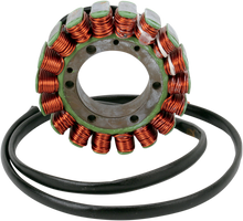 RICK'S MOTORSPORT ELECTRIC Stator - Aprilia 21-008