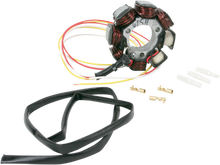 RICK'S MOTORSPORT ELECTRIC Stator - Honda 21-615H