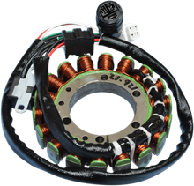 RICK'S MOTORSPORT ELECTRIC Stator - Yamaha 21-921