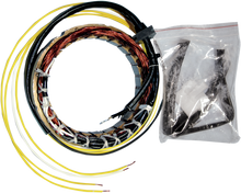 RICK'S MOTORSPORT ELECTRIC Stator - Honda 21-100