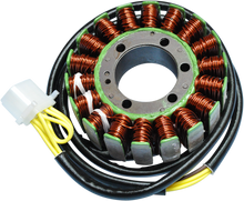 RICK'S MOTORSPORT ELECTRIC Stator 21-559