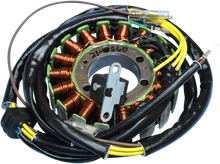 RICK'S MOTORSPORT ELECTRIC Stator - Polaris 21-560