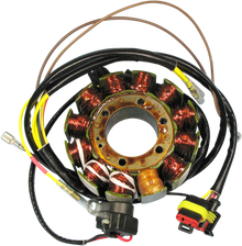 RICK'S MOTORSPORT ELECTRIC Stator - Polaris 21-561