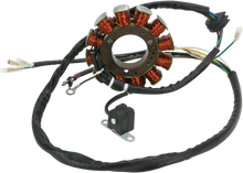 RICK'S MOTORSPORT ELECTRIC Stator 21-562
