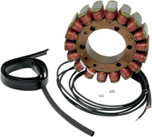RICK'S MOTORSPORT ELECTRIC Stator - BMW 21-023