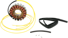 RICK'S MOTORSPORT ELECTRIC Stator - Can-Am 21-056