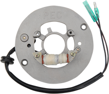 RICK'S MOTORSPORT ELECTRIC Stator - Yamaha 21-926