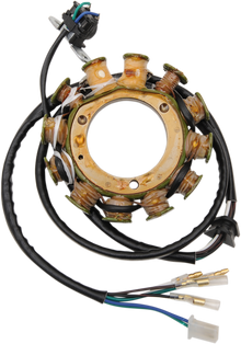 RICK'S MOTORSPORT ELECTRIC Hot Shot Stator - Honda 21-647H