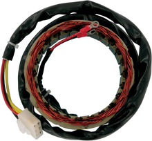 RICK'S MOTORSPORT ELECTRIC Stator - Honda 21-101