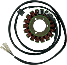 RICK'S MOTORSPORT ELECTRIC Stator - Suzuki 21-301