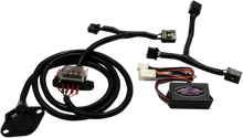 MOTOR TRIKE Trailer Harness - Tri Glide '09-'13 MTEL-0243