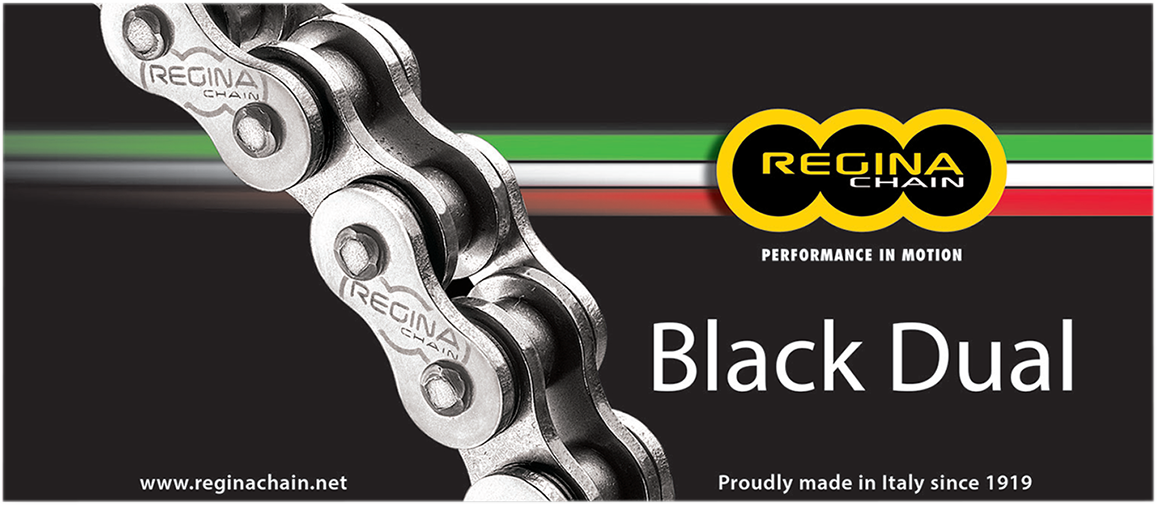 REGINA 525 ZRA - Drive Chain - 124 Links 137ZRA/1000