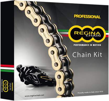 REGINA Chain and Sprocket Kit - Honda - CMX250/CD Rebel - '85-'16 135ZRT/108KHO032