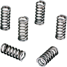 VESRAH Clutch Spring Set SK-225