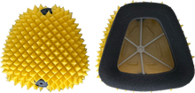 Air Filter Proline