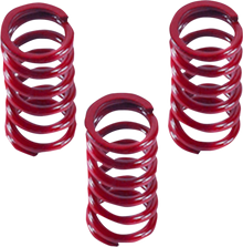 DRAG SPECIALTIES Clutch Springs 11313616
