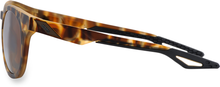 100% Campo Sunglasses - Soft Tact Havana - Bronze PeakPolar Lens 61026-089-49