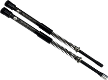 LEGEND SUSPENSION AXEO Front End Suspension - 49 mm - Dyna Wide Glide '10-'17 04140614