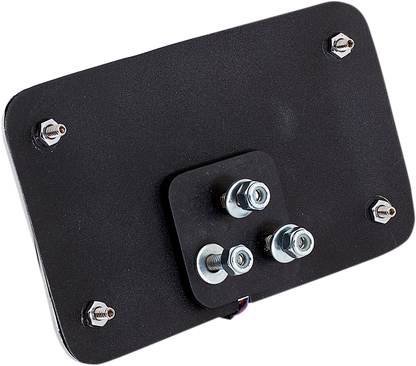 CYCLE VISIONS License Plate Mount - Lighted Frame CV-4640
