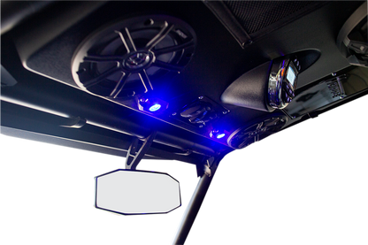HOPPE INDUSTRIES Audio Shade - 4 Speakers - 1 Subwoofer - RZR HPKT-0075A