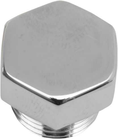 COLONY Timing Plug - Crankcase - Hex - 5/8"-18 8114-1