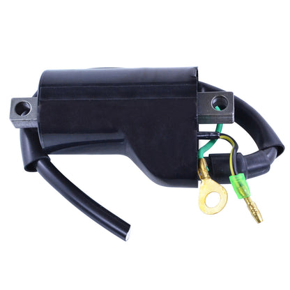 External Ignition Coil