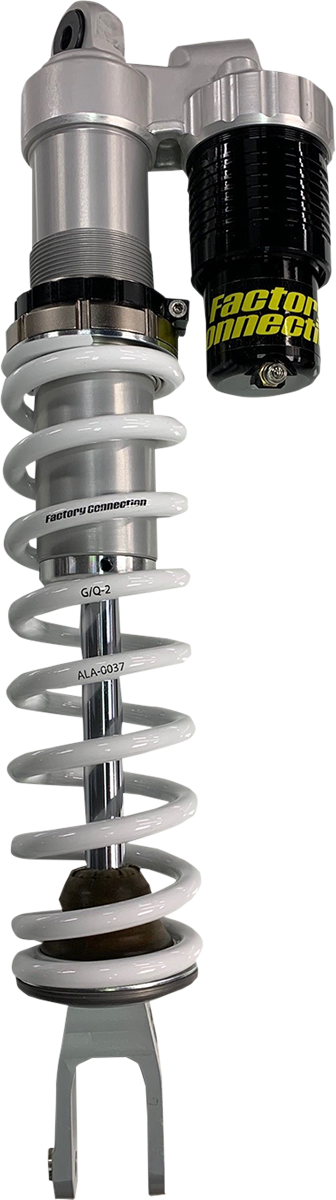 FACTORY CONNECTION Pre-Load Ring - 50 mm SRWPN20