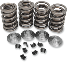 KIBBLEWHITE Valve Spring Kit - OEM Replacement - XL 20-2215
