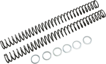RACE TECH Fork Springs - 0.50 kg/mm FRSP 435150