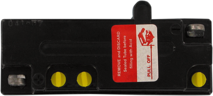 PARTS UNLIMITED Conventional Battery 6N12A-2D