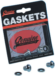 Gasket Drain Screw Fork  Flh Sftl Ex. Deuce Kit 45858 77 K
