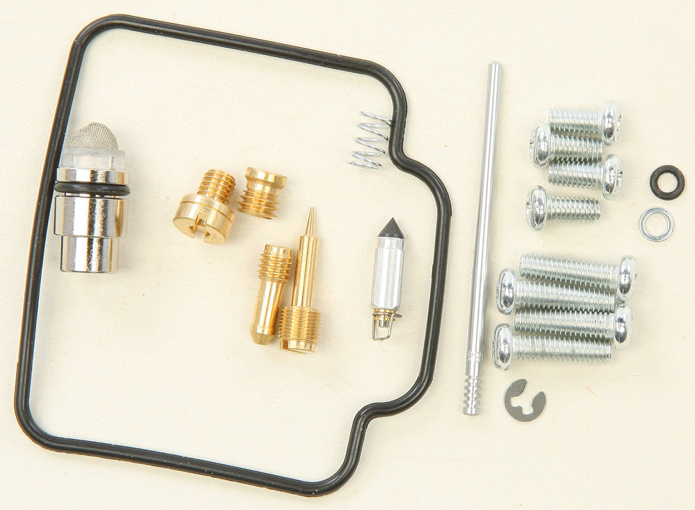 Carburetor Repair Kit