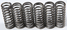 Clutch Springs Csk201
