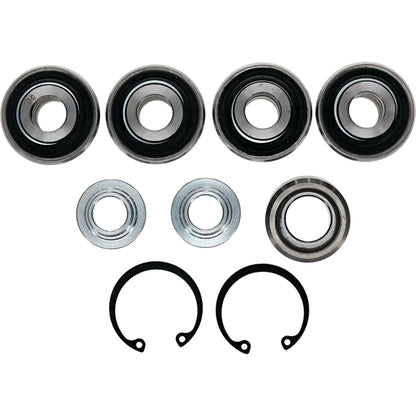 Rear Independent Susp Kit
