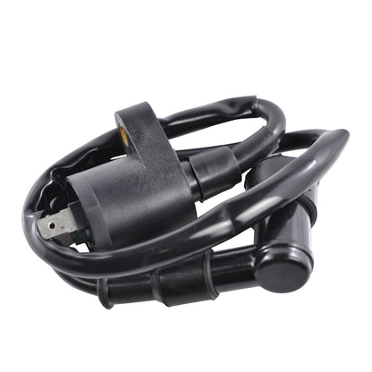 External Ignition Coil W/Spark Plug Cap
