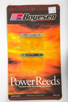 Motorcycle Reeds