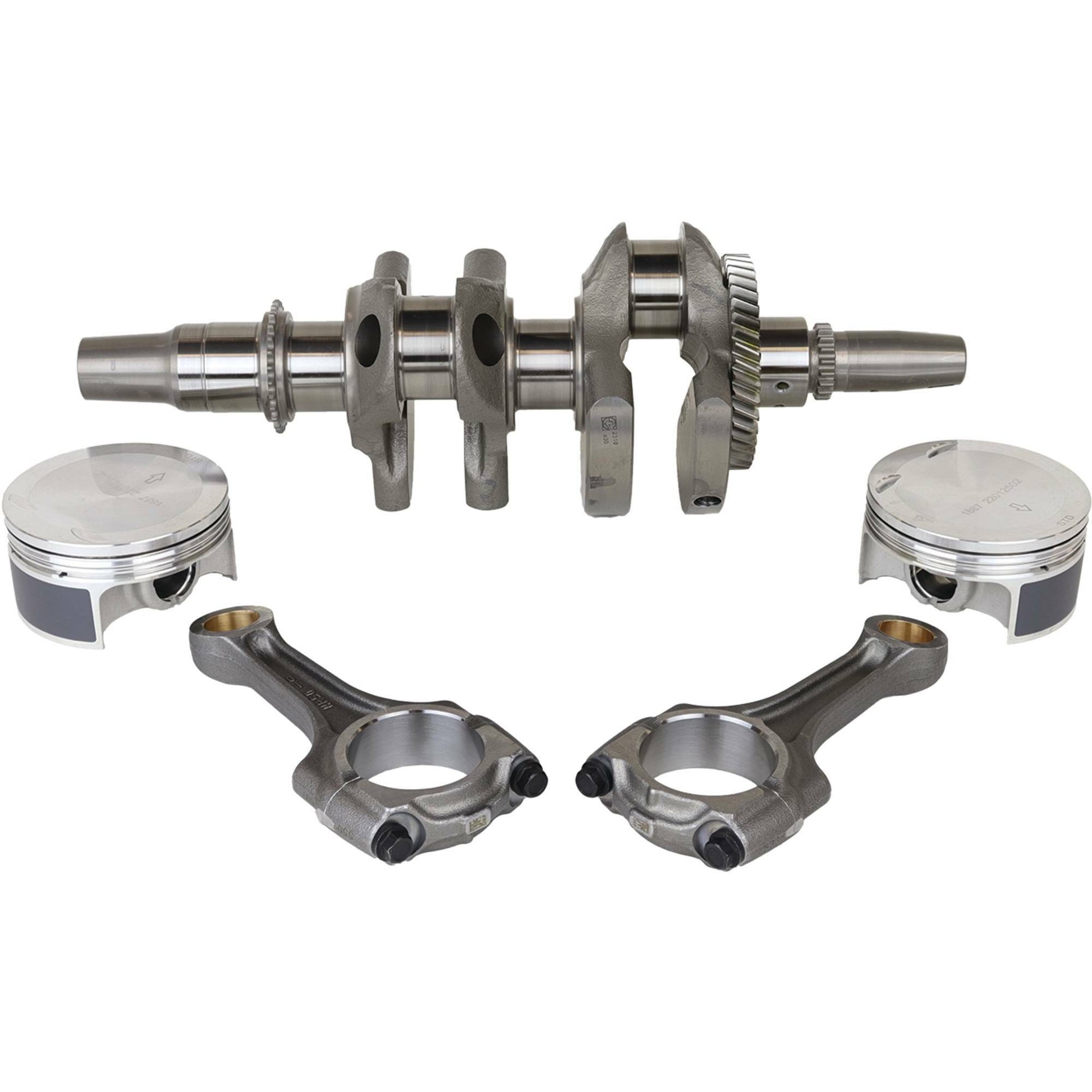 Complete Engine Rebuild Kit Pol
