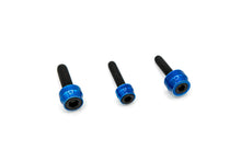 Chacho's Bolt Kit Blue M8 Eng Trans Prim Blk