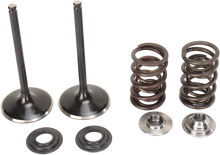 MOOSE OFFROAD Valve and Spring Kit - Suzuki LTR450 Quad Racer M60-60850